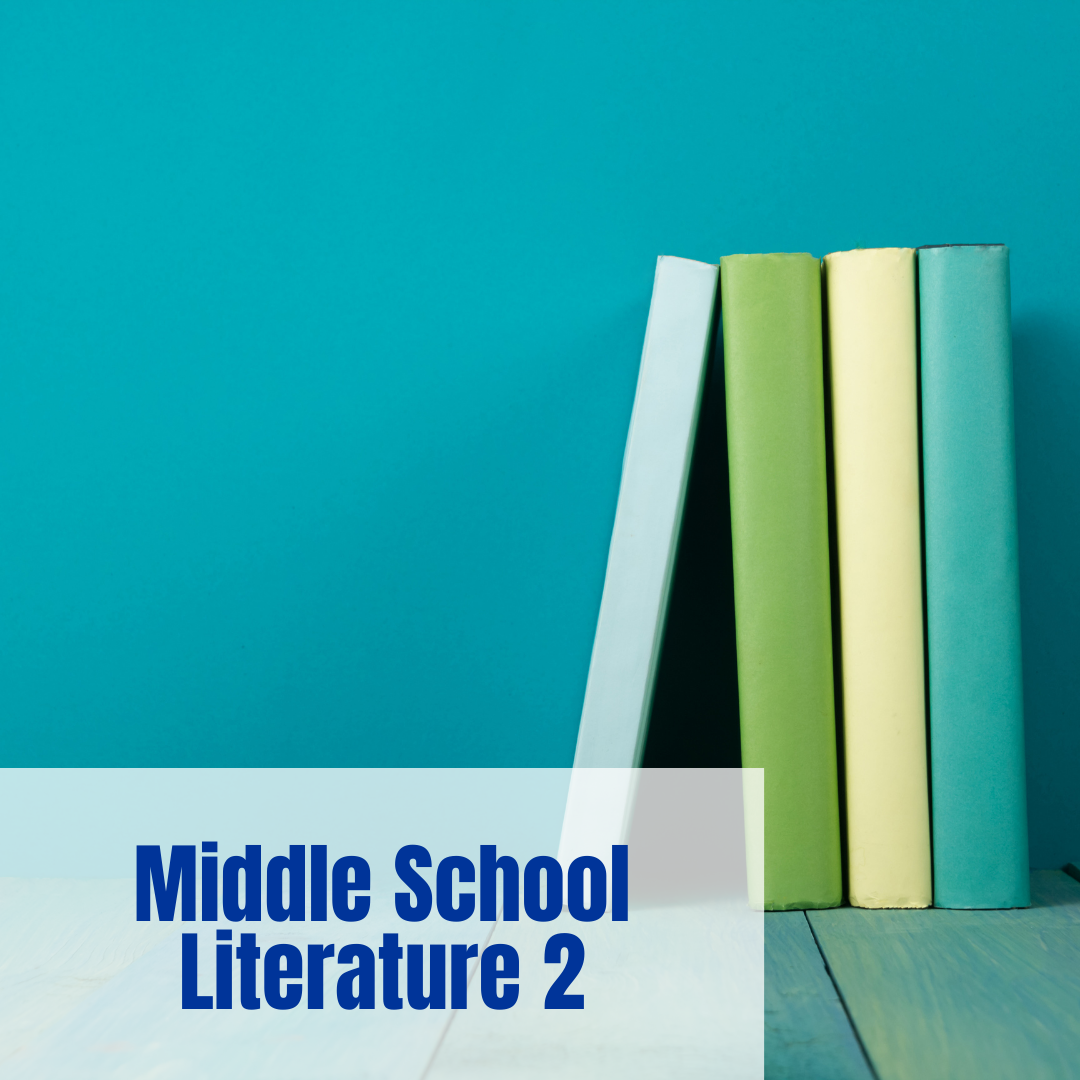 Self-Paced Middle School Literature 2