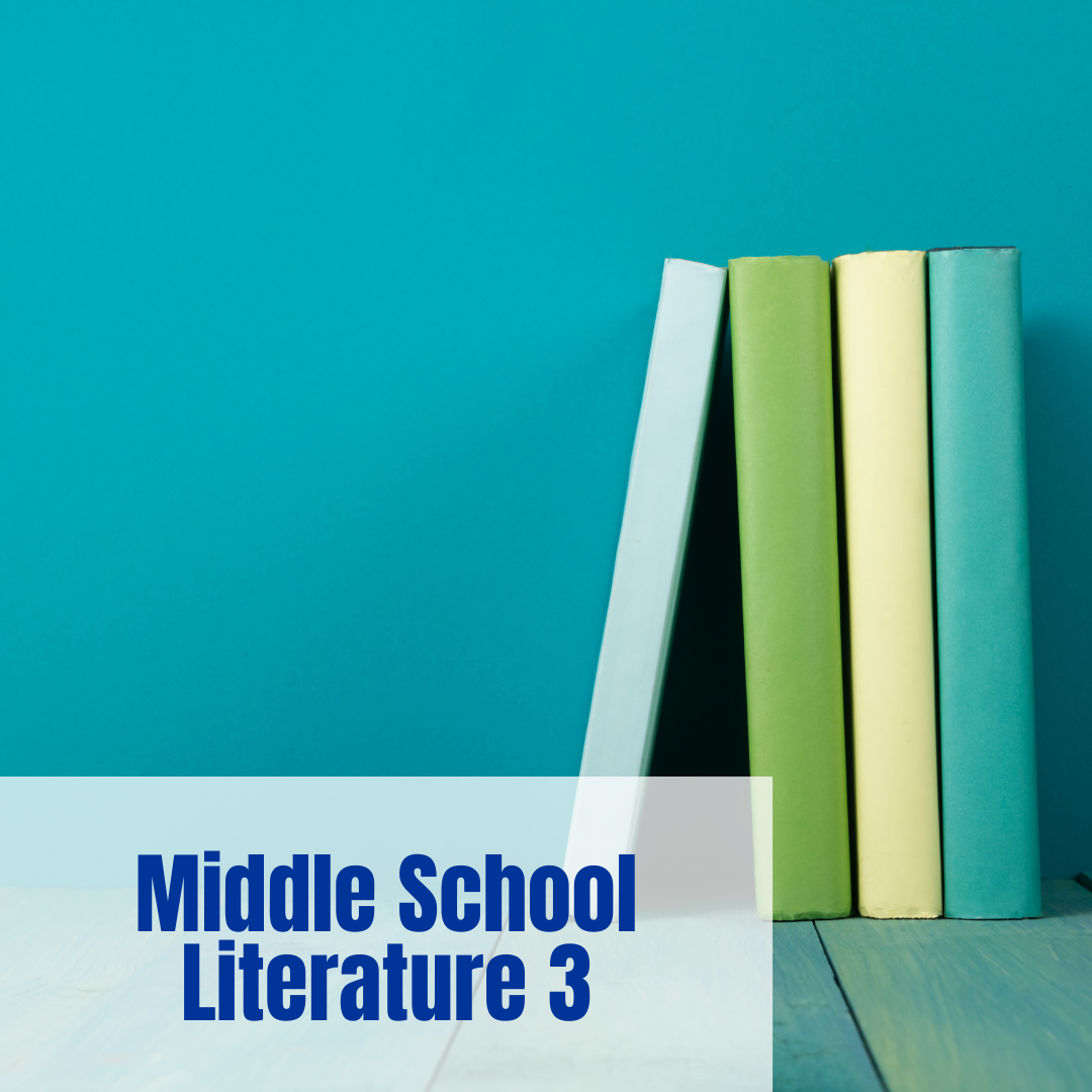 Self-Paced Middle School Literature 3
